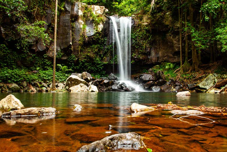 Cedar Creek