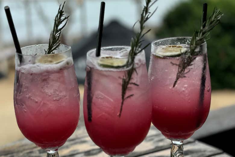 Une expérience incontournable !