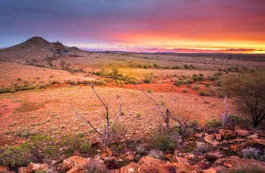 Alice Springs