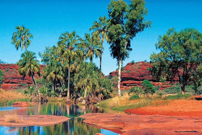 Une oasis