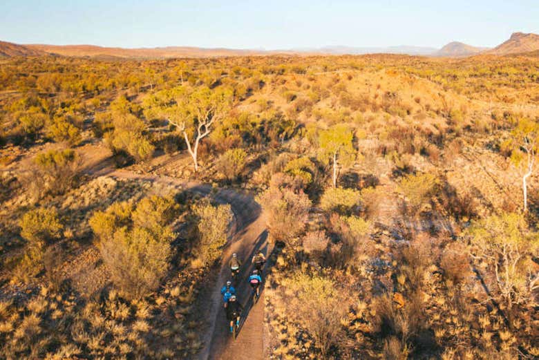 Alice Springs Bike Tour Book Online at