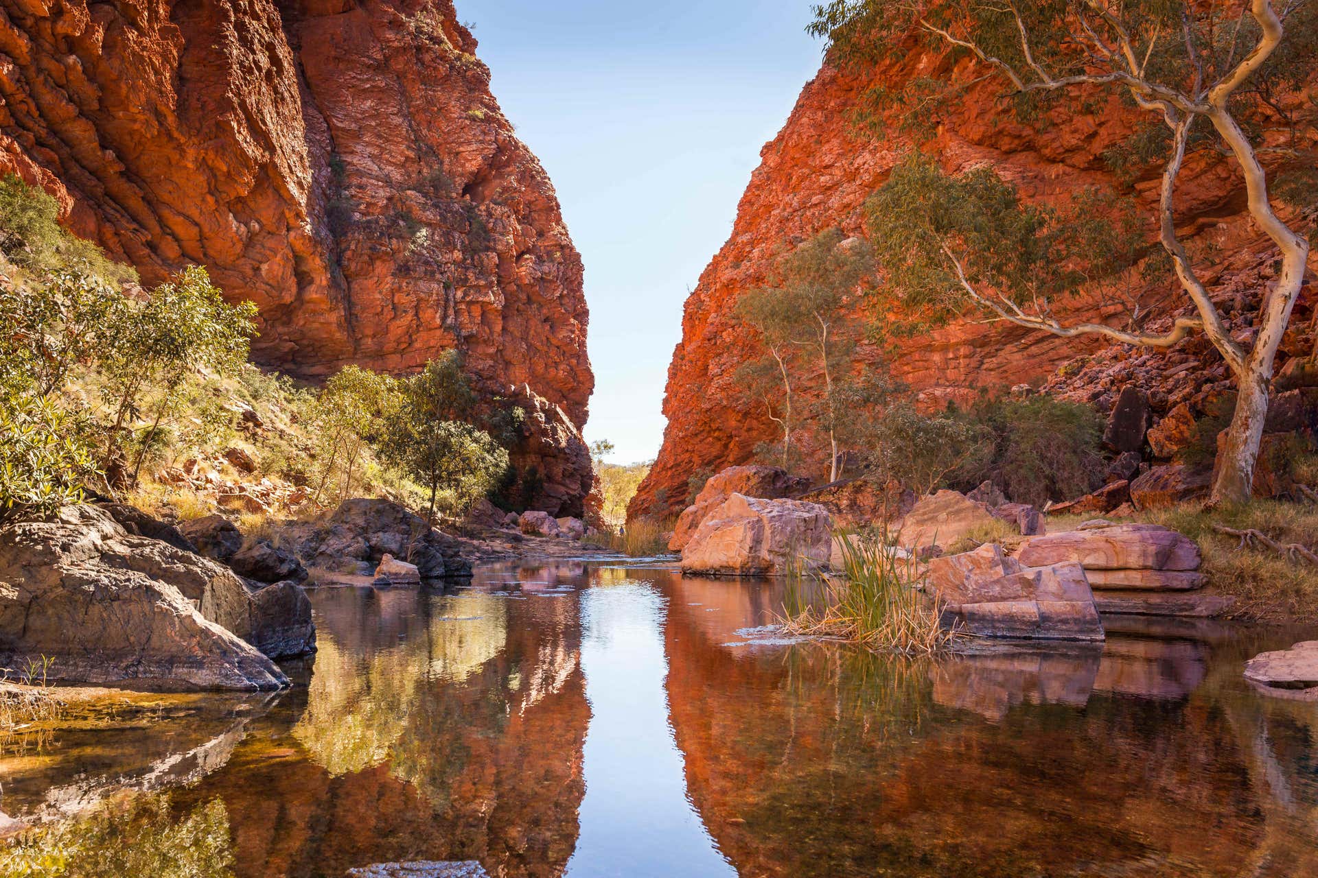 alice springs tour