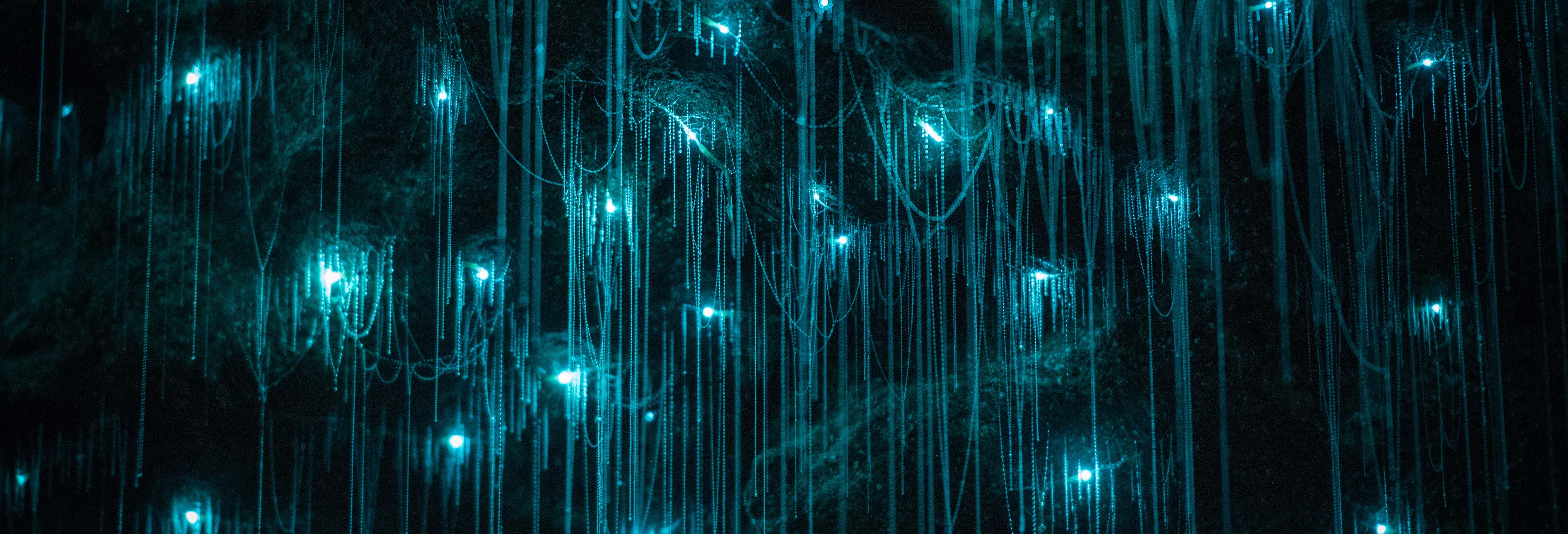 Excursiones de un día en Brisbane