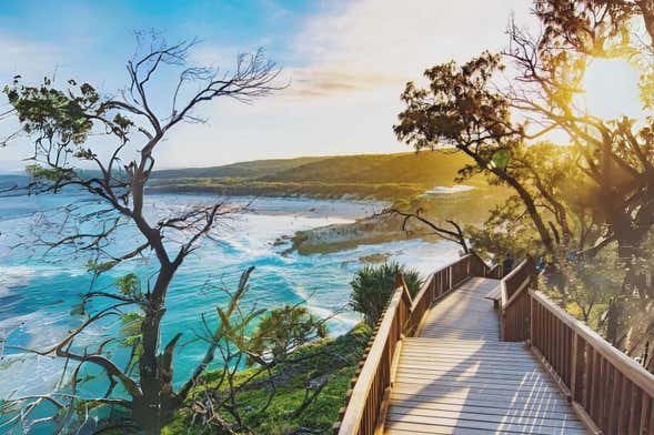 Escursione a North Stradbroke Island