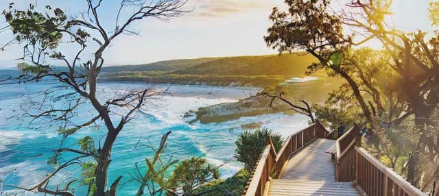 North Stradbroke Island Day Trip