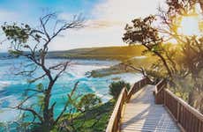 Escursione a North Stradbroke Island
