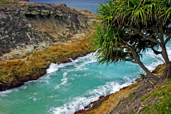 Excursión a Stradbroke Island