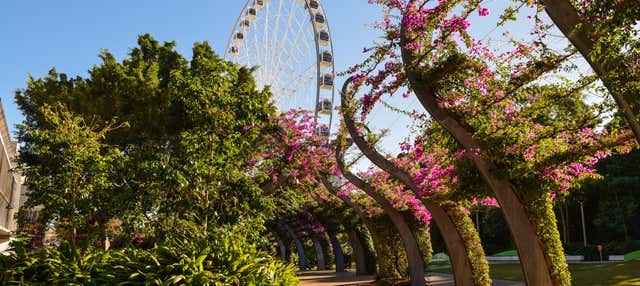 Free tour por Brisbane