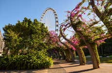 Free tour por Brisbane