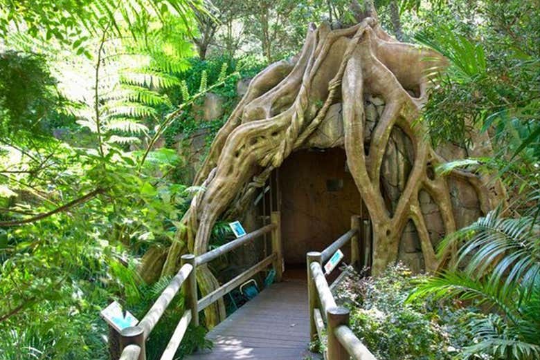 La entrada a la cueva Glow Worm