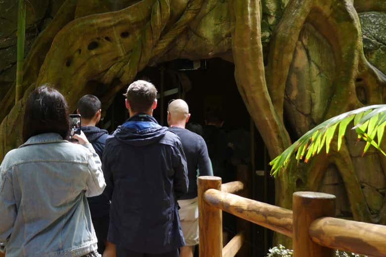 Entrando a descubrir el interior de las cuevas