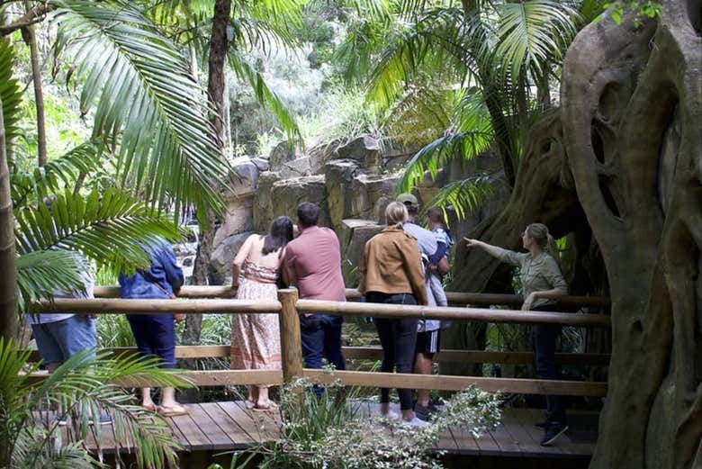 Atendiendo a la explicaciones del guía