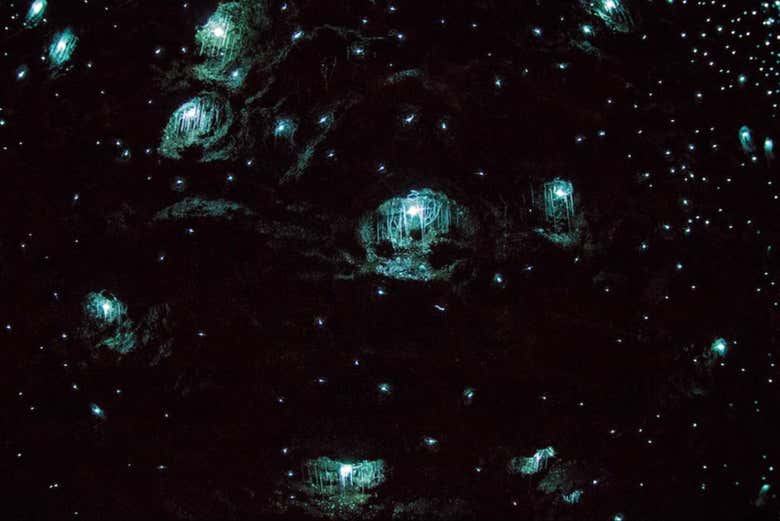 Explorando las cuevas