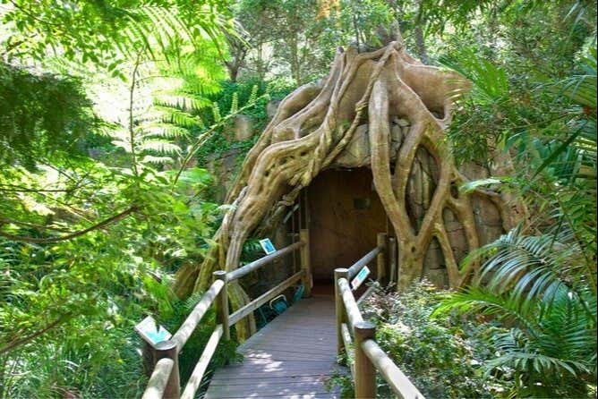 The entrance into the cave