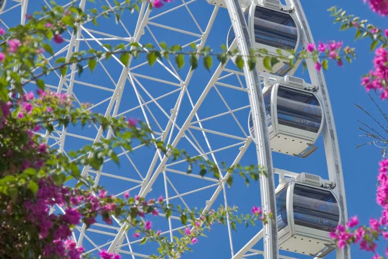 La grande roue de Brisbane