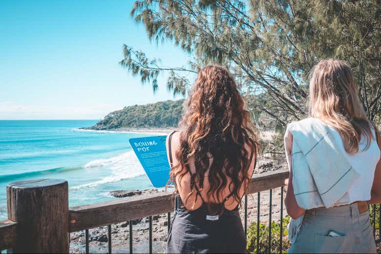 ¿Preparados para ver Sunshine Coast Hinterland?