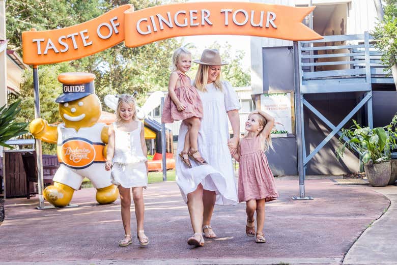 Discover a ginger factory in Yandina