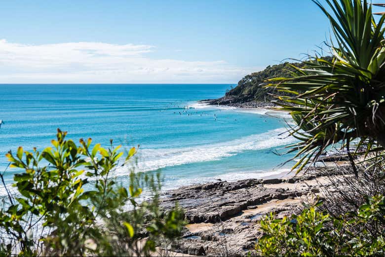 Discover the beautiful Noosa Beach