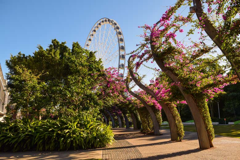 Stroll past the Brisbane Wheel