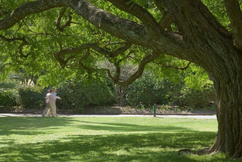 Get to know the city's botanical garden
