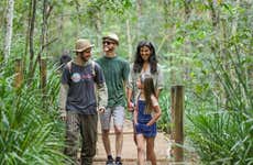 Experiência Hinterland Magic e Glow-worm