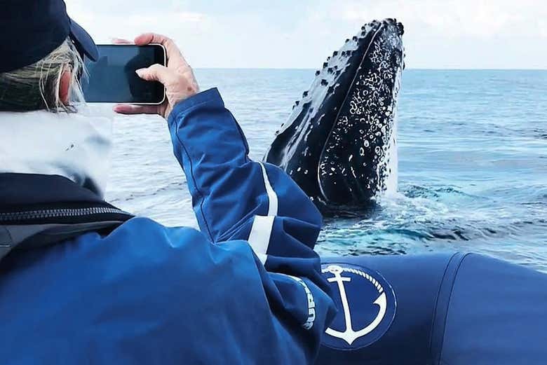 Imortalizando o momento