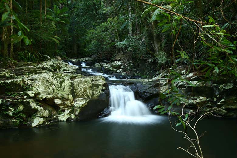 Uma cachoeira nos bosques tropicais de Gondwana