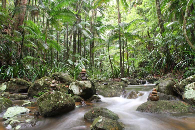 Parque Nacional Nightcap