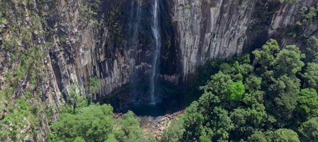 Trilha pelo Parque Nacional Nightcap