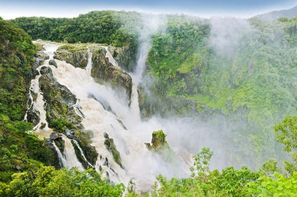 Cattana Wetlands, Barron Falls Day Trip + Skyrail or Scenic Railway