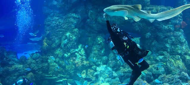 Entrada al Acuario de Cairns
