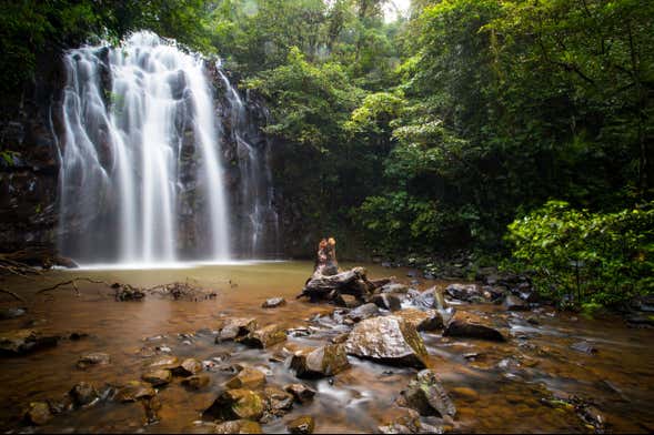 Atherton Tablelands Tour
