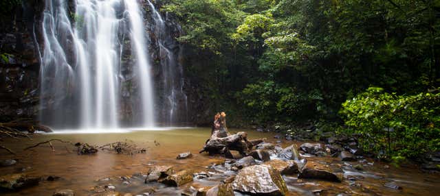 Excursión a Atherton Tablelands