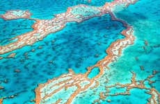 Excursão à Grande Barreira de Coral e plataforma Reef Magic