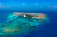 Escursione a Green Island