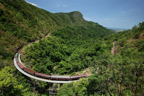 Excursão a Kuranda de trem panorâmico + Teleférico