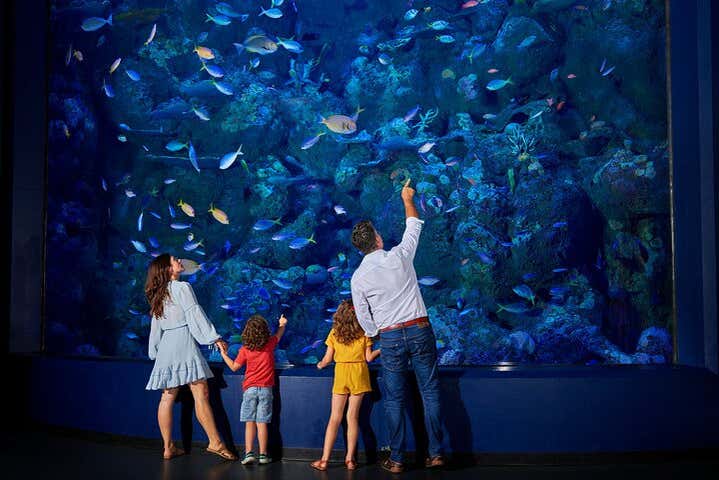La magia de la noche en el Acuario de Cairns