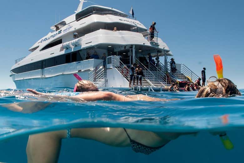Snorkeling dans la Grande Barrière de Corail