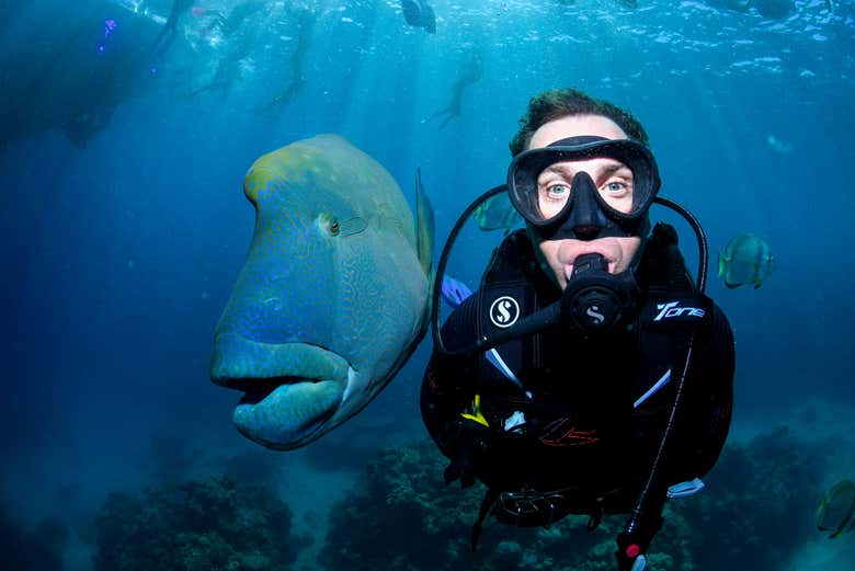 Scuba Diving
