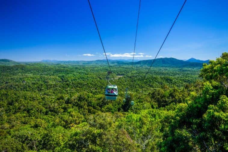 Admire panoramic views of the jungle from the cable car