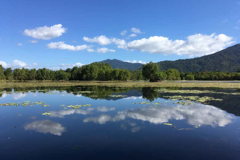 Lac Jabiru, dans les zones humides de Cattana