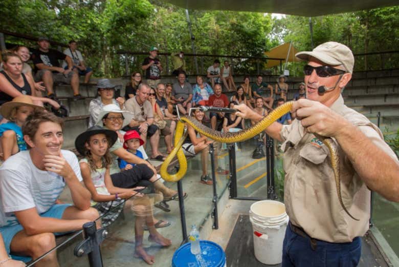 Pendant le spectacle de serpent