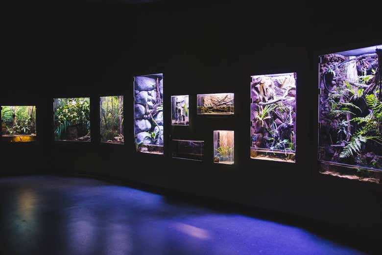 Exposición
