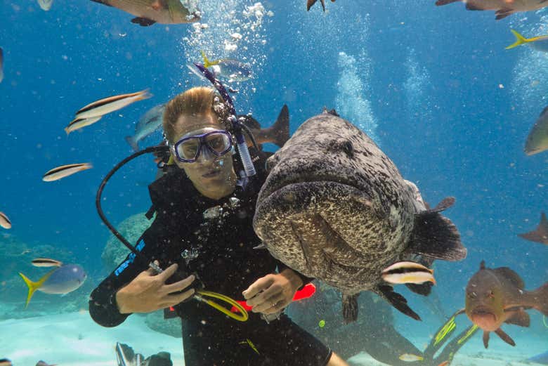 Explorez les fonds sous-marins de Cairns