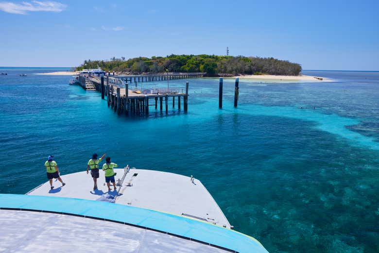 Arrivée à Green Island