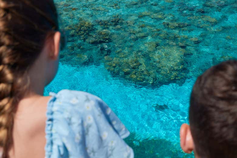 Eaux cristallines de Green Island !