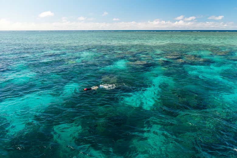 Faites du snorkeling