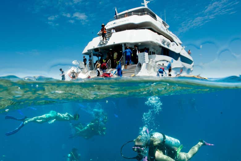 Snorkeling à Cairns