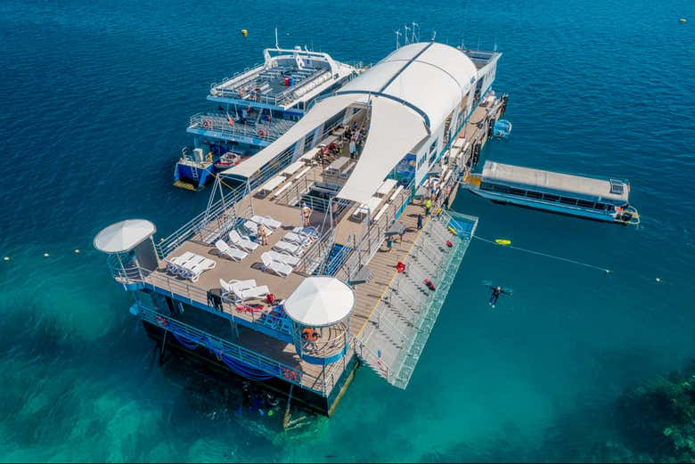 Bateau Reef Magic