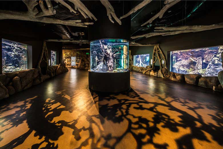 Salas del Acuario de Cairns